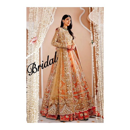 Zaha by Khadijah Shah Bridal MASAKALI double flare