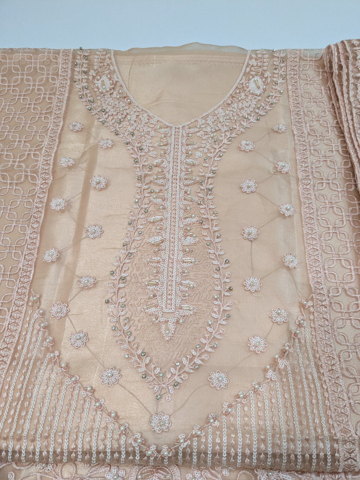 MRYYUM SOFT SHADE ORGANZA HAND EMBROIDERED DRESS